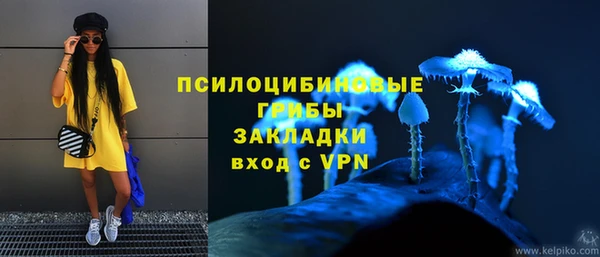 мдпв Богородск