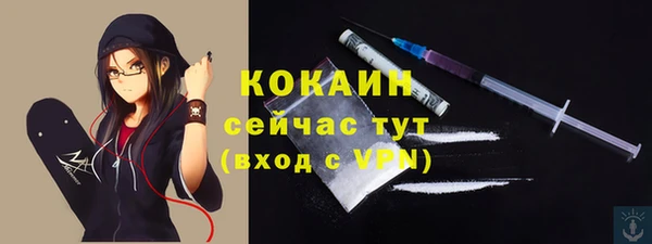 мдпв Богородицк