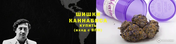 мдпв Богородск