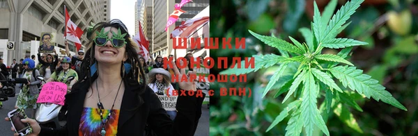 мдпв Богородск