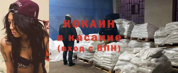 мдпв Богородск
